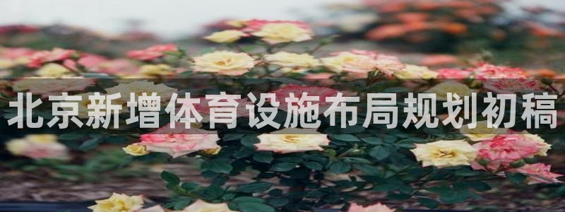 意昂体育4招商电话是多少啊：北京新增体育设施布局规划