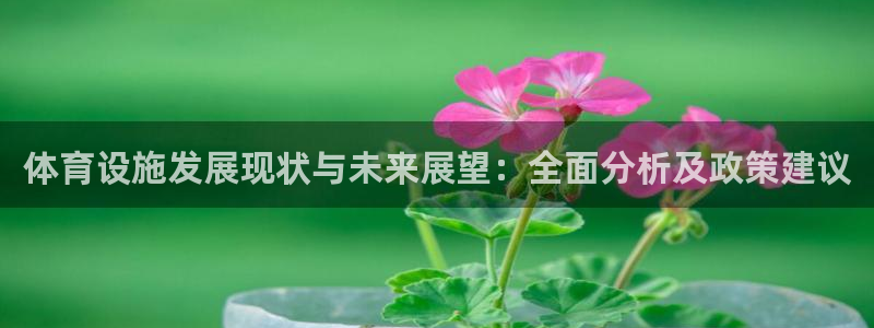 意昂体育4平台假的吗是真的吗：体育设施发展现状与未来