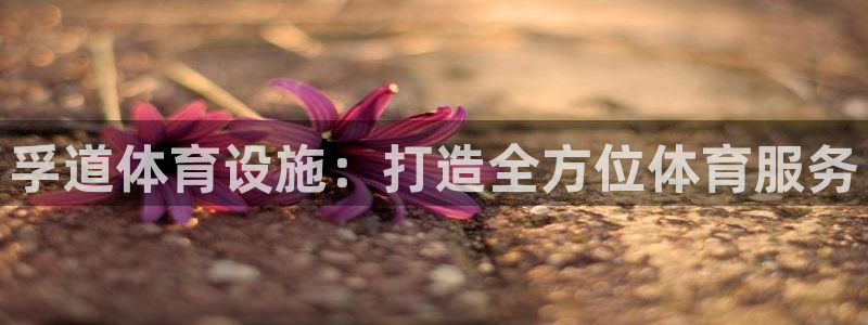 意昂体育4娱乐：孚道体育设施：打造全方位体育服务