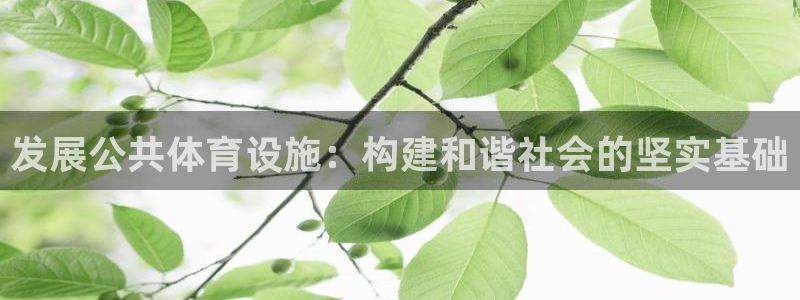 德国意昂4集团：发展公共体育设施：构建和谐社会的坚实基础