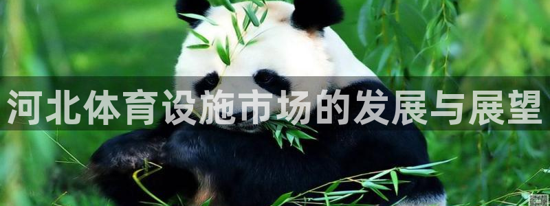 意昂体育4招商电话号码：河北体育设施市场的发展与展望