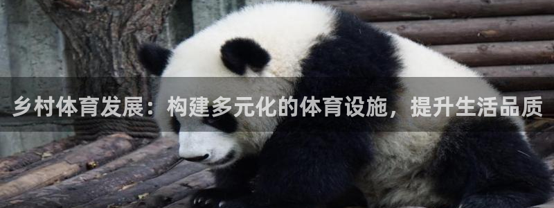 意昂体育4平台注册流程视频：乡村体育发展：构建多元化