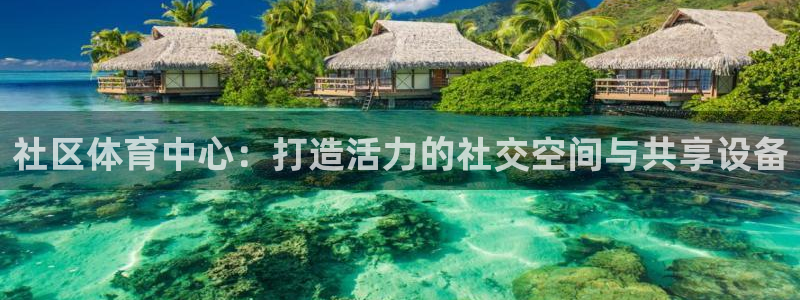 意昂体育4平台注册流程图：社区体育中心：打造活力的社交空间与