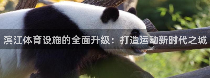 意昂4娱乐代理怎么样：滨江体育设施的全面升级：打造运动新时代