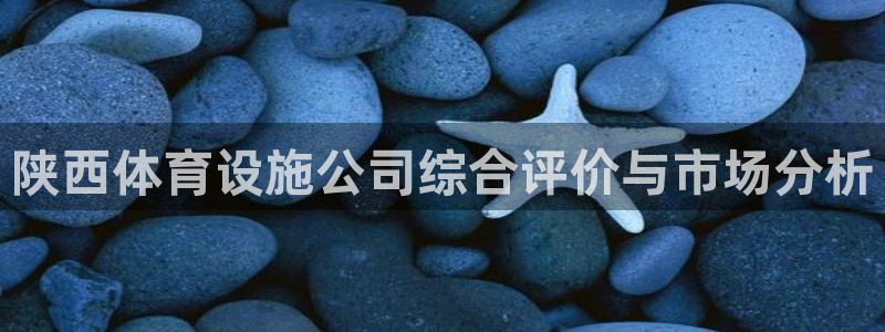 意昂4科技：陕西体育设施公司综合评价与市场分析