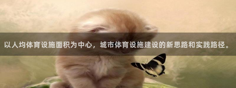 意昂4集团E.ON：以人均体育设施面积为中心，城市体育设施建