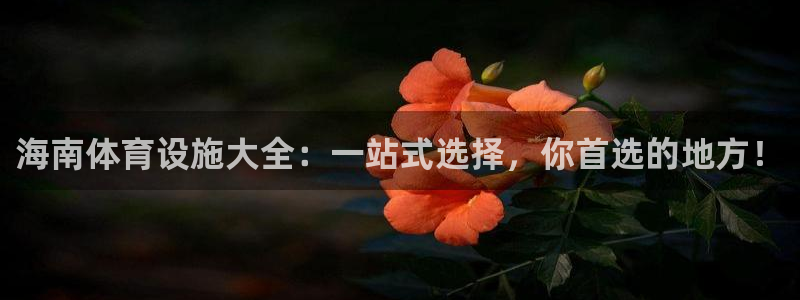 意昂体育4招商电话：海南体育设施大全：一站式选择，你首选的地 