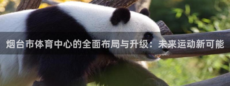 意昂体育4招商电话是多少啊：烟台市体育中心的全面布局与升级：