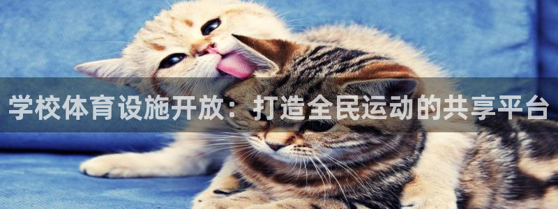 意昂4集团官网网址：学校体育设施开放：打造全民运动的
