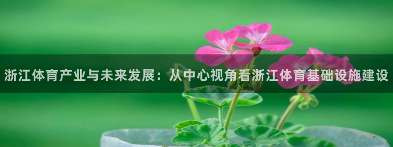 意昂体育4招商电话地址是多少：浙江体育产业与未来发展