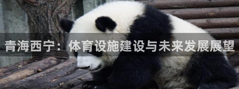意昂4集团E.ON：青海西宁：体育设施建设与未来发展