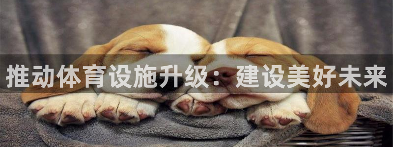 意昂体育4招商电话号码是多少啊：推动体育设施升级：建