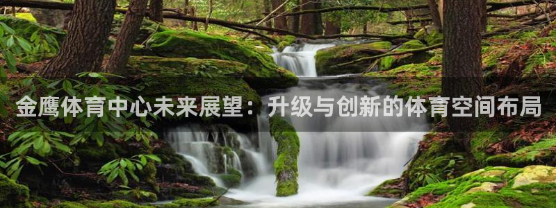 意昂体育4平台：金鹰体育中心未来展望：升级与创新的体