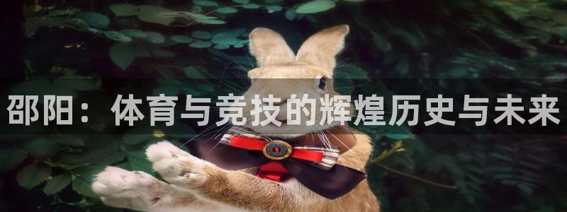 海南意昂体育4发展怎么样：邵阳：体育与竞技的辉煌历史
