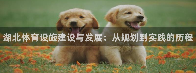 意昂4神州：湖北体育设施建设与发展：从规划到实践的历