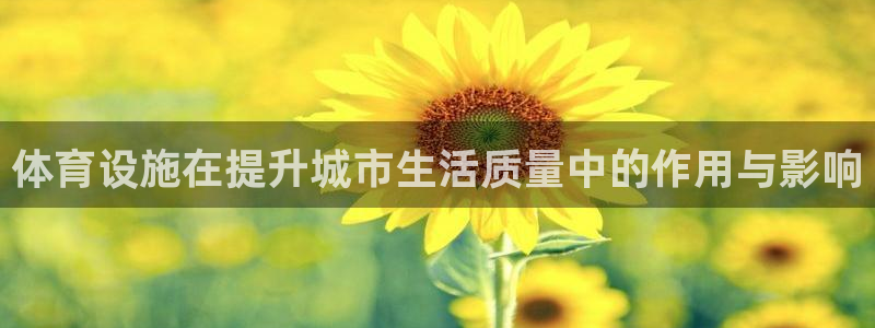 意昂4神州：体育设施在提升城市生活质量中的作用与影响