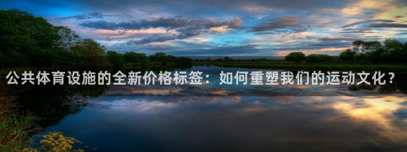 意昂体育4招商电话地址：公共体育设施的全新价格标签：