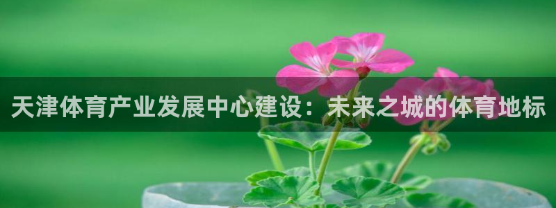 意昂体育4平台注册要钱吗安全吗：天津体育产业发展中心