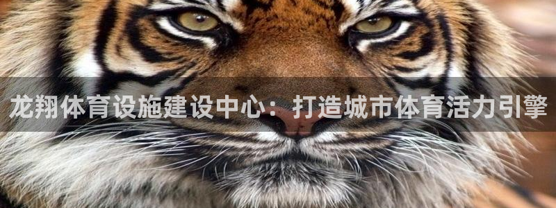 意昂体育4招商电话号码是多少：龙翔体育设施建设中心：打造城市