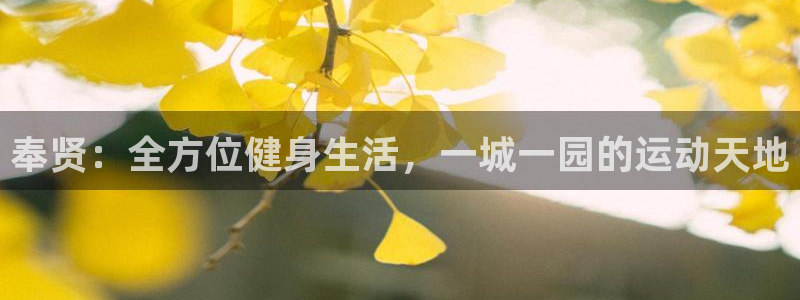 意昂体育4平台假的吗是真的吗：奉贤：全方位健身生活，