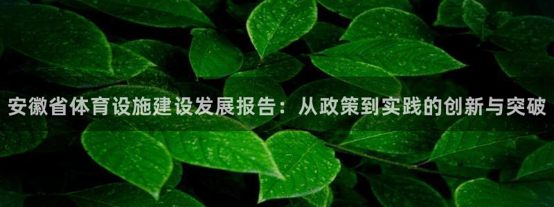 意昂体育4招商电话是多少啊：安徽省体育设施建设发展报