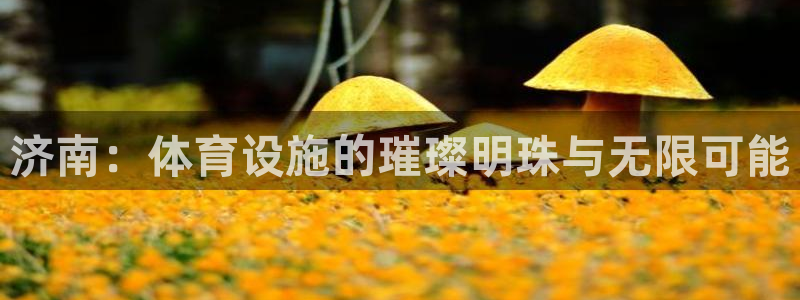 意昂体育4平台假的吗是真的吗吗：济南：体育设施的璀璨明珠与无