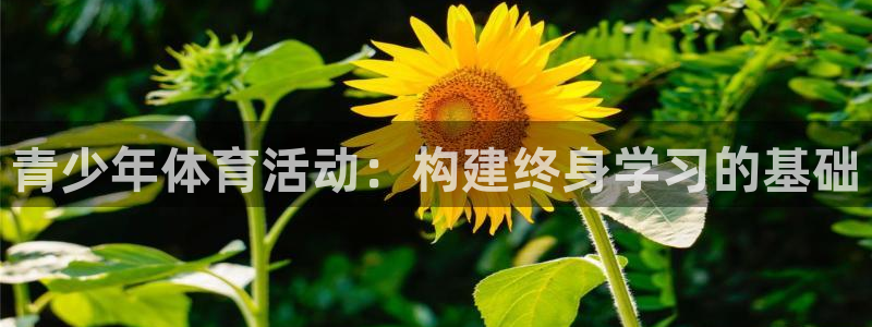 意昂4集团E.ON：青少年体育活动：构建终身学习的基