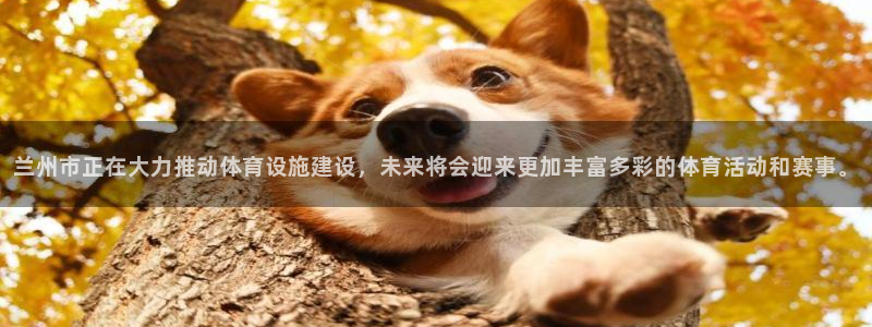 意昂体育4平台注册流程视频：兰州市正在大力推动体育设