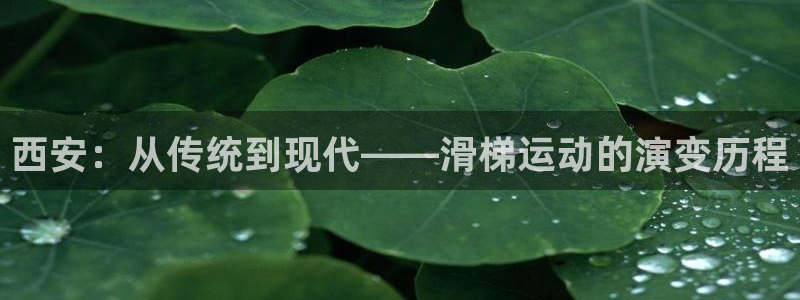 意昂体育4娱乐：西安：从传统到现代——滑梯运动的演变