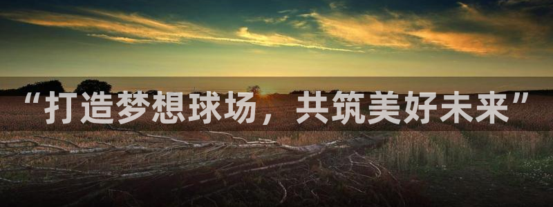 意昂体育4官方客服电话：“打造梦想球场，共筑美好未来