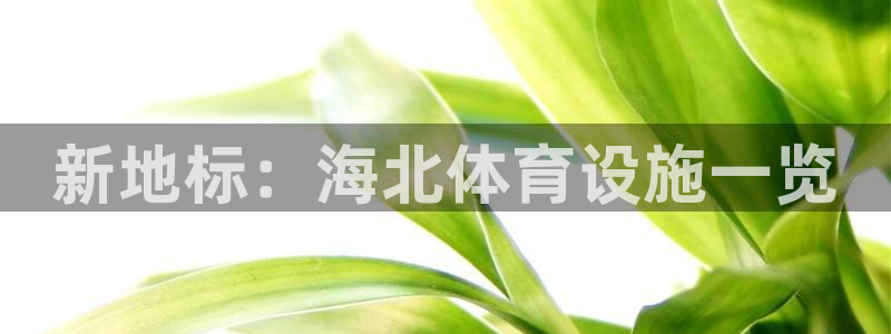 意昂4娱乐平台：新地标：海北体育设施一览