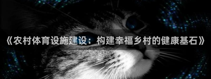 意昂体育4平台注册流程图：《农村体育设施建设：构建幸