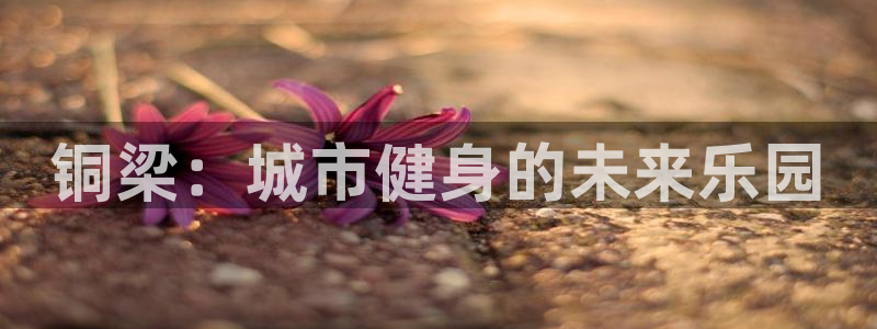 海南意昂体育4发展怎么样：铜梁：城市健身的未来乐园