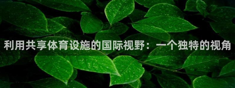 意昂体育4平台注册要钱吗安全吗：利用共享体育设施的国