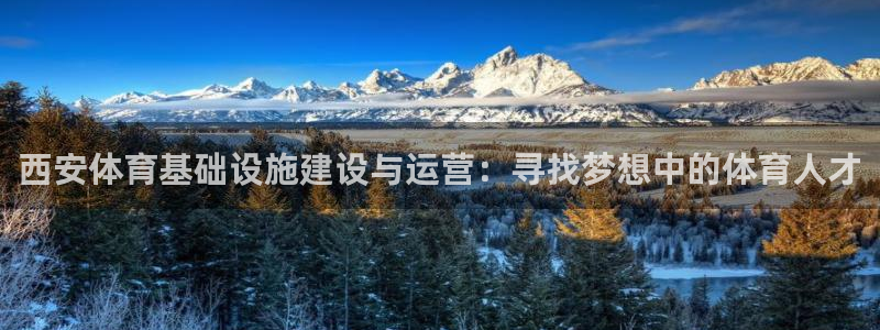 海南意昂体育4：西安体育基础设施建设与运营：寻找梦想