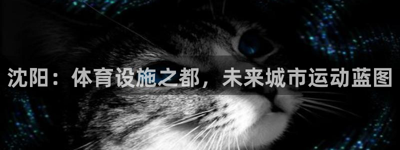 意昂体育4平台假的吗是真的吗：沈阳：体育设施之都，未