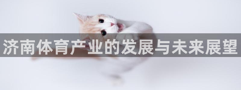 意昂4集团：济南体育产业的发展与未来展望