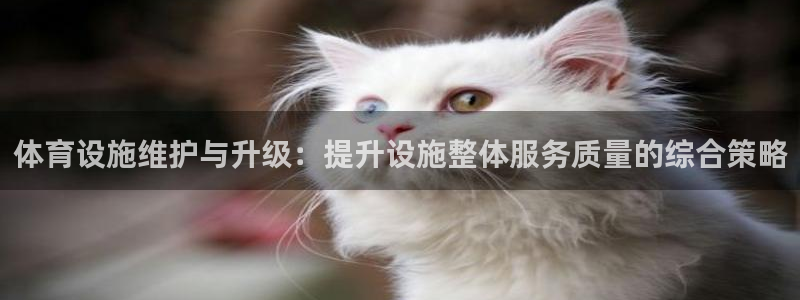 意昂体育4：体育设施维护与升级：提升设施整体服务质量的综合策