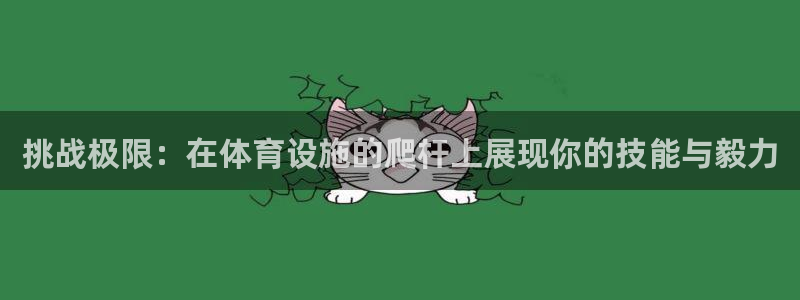 意昂体育4招商：挑战极限：在体育设施的爬杆上展现你的技能与毅